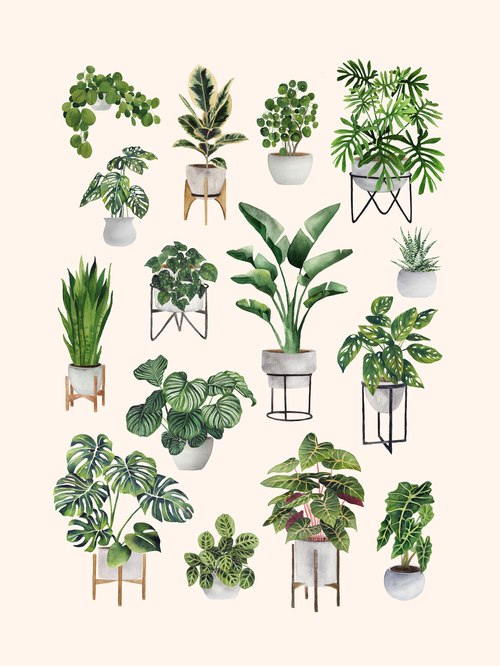 Poster House Plant Collection 2