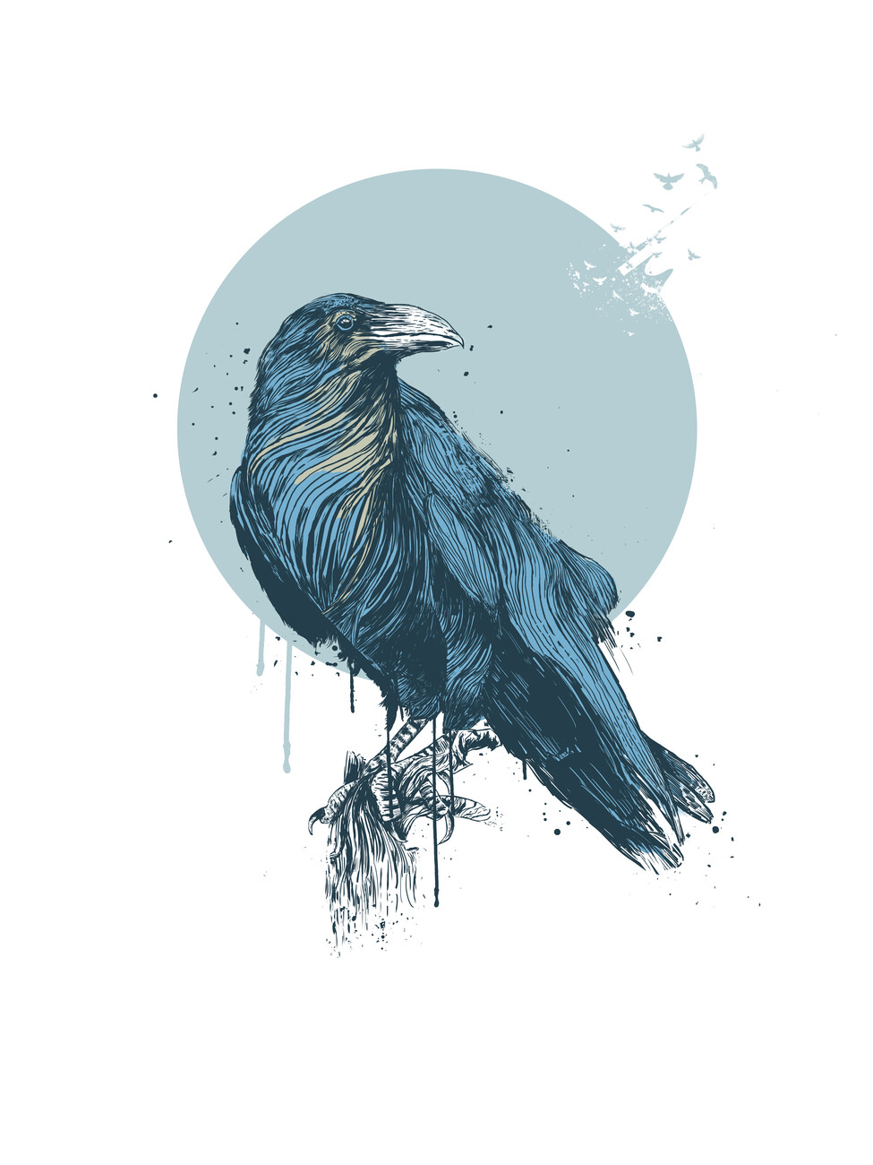 Poster Blue Crow | Wall Art | 3+1 FREE | Abposters.com