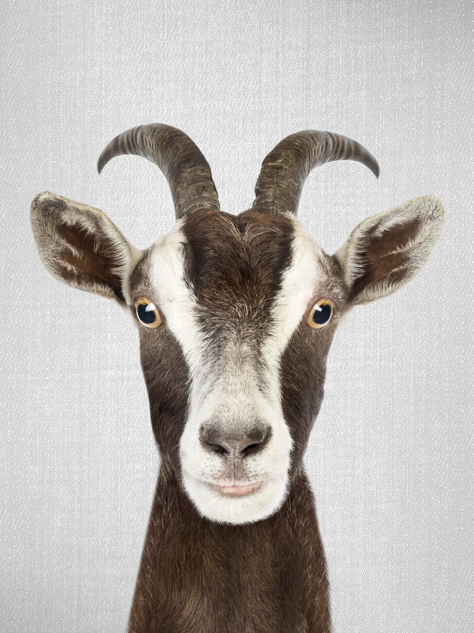 GOAT mini poster ポスター Goat Poster GOAT Etsy - West GOAT mini poster ポスター