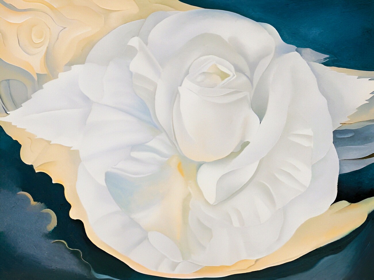 Georgia O'Keeffe - White Calico Rose, 1930 Póster, lámina | Compra