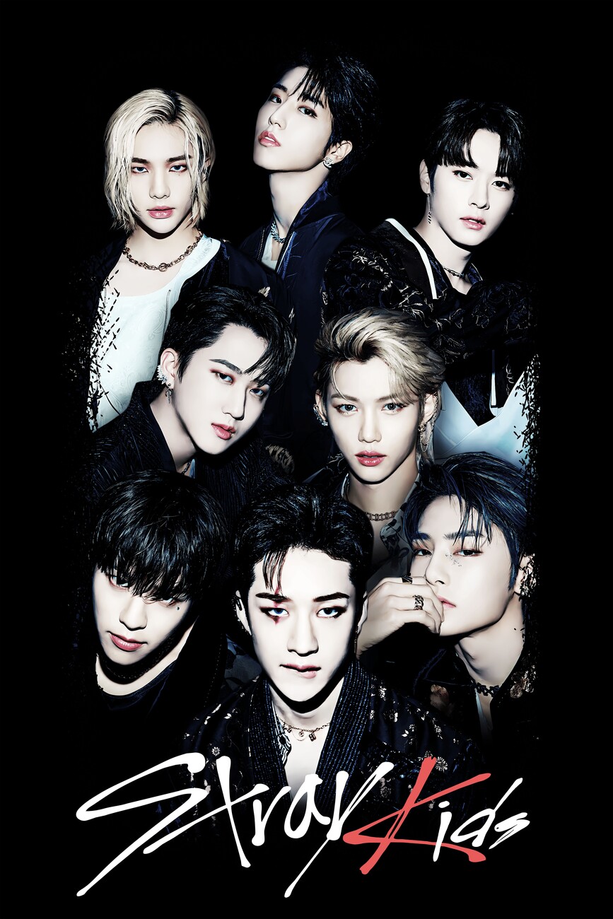 Poster Stray Kids - SKZ Members | Wall Art | 3+1 FREE | Abposters.com