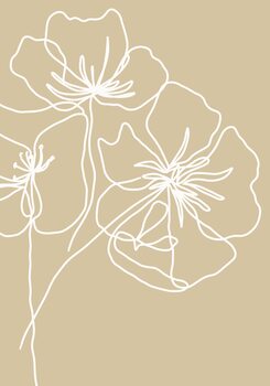 Poster White poppy