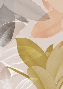 Poster Delicate leaves i