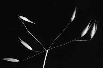 Poster Light and simplicity