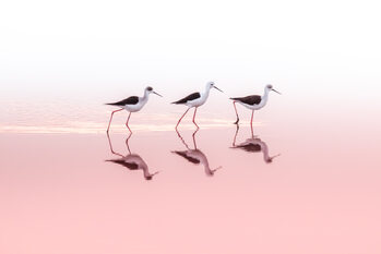 15697