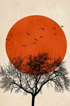 Poster Dreamers ROUGE