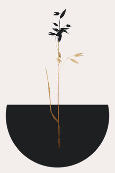 Poster Planta Negra