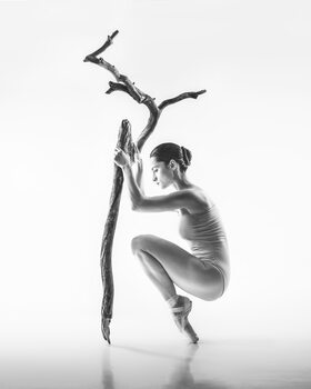 Poster tree