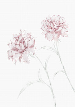 Plakát Peony 03