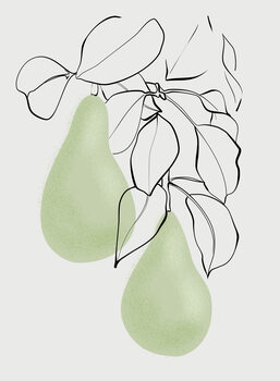 Line and color