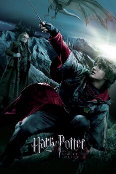 Harry Potter und der Feuerkelch