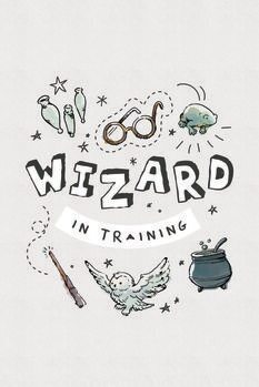 Poster Harry Potter - Wizard in training
