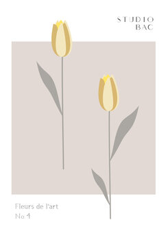 Poster Tulips Studio Bac