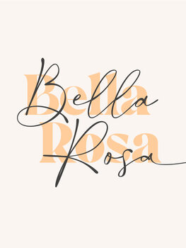 Poster Bella rosa