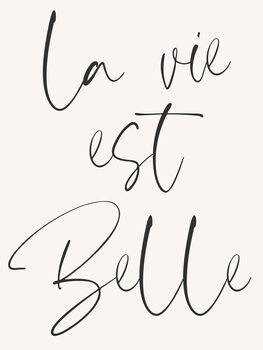 Poster La vie est belle