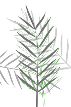 Botanicals