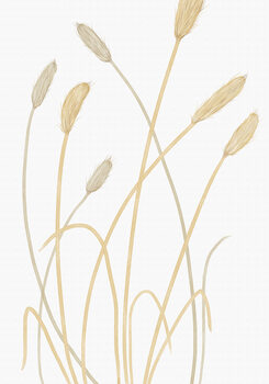 Poster Bunny Grass 01
