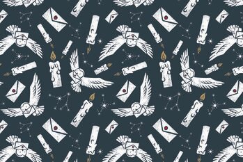 Poster Harry Potter - Letter from Hedwig