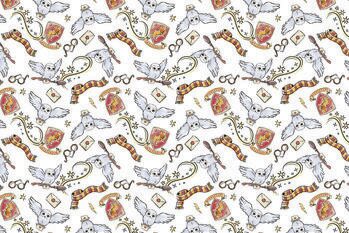 Poster Harry Potter - Magical moments