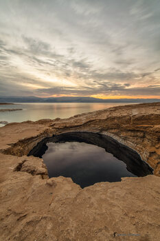 Plakat The Dead Sea Swallow