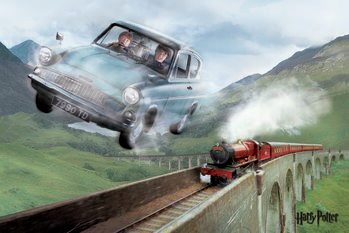 Poster Harry Potter - Ford