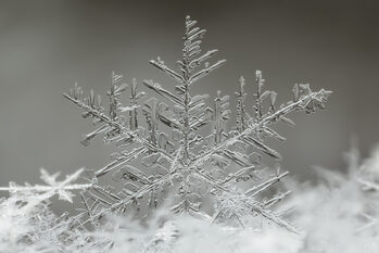 Плакат Snowflake