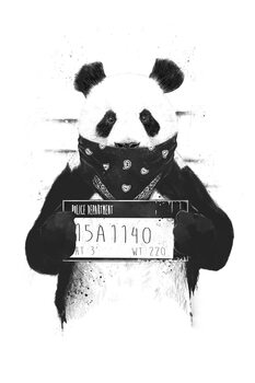 Pandas