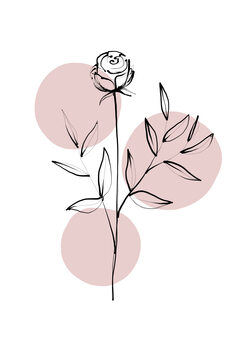 Plakát Delicate Botanicals – Rose