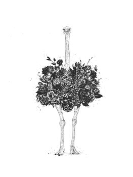 Floral