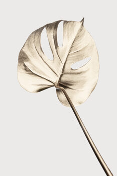 Poster Monstera Gold 05