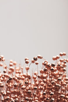 Poster Dried Grass Copper 04