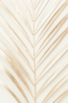 Poster Golden Palm Leaf