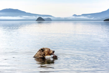 Poster Kurile Lake