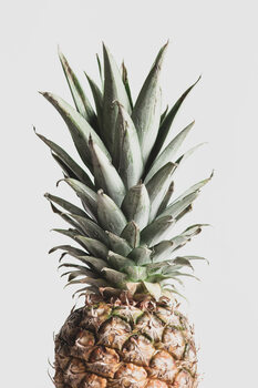 Poster Pineapple Natural