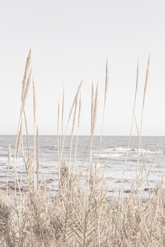 Poster Beach_Vass_001