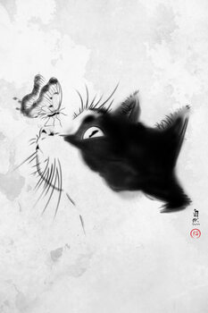 Animals and Nature