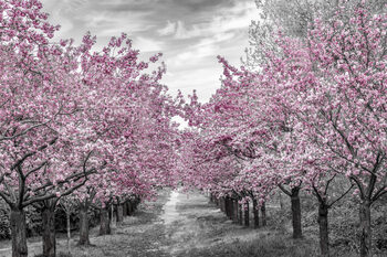 Nature & Landscape Photography