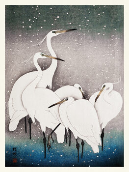 Poster Group of Egrets