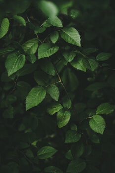 Texturas