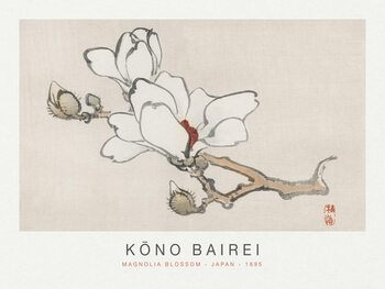 Poster Magnolia Blossom (Special Edition Japandi) - Kōno Bairei