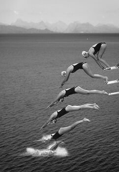 Poster The beauty of diving