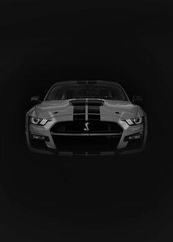 Poster Mustang Shelby GT 500