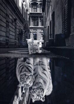 Cute Pets and Wild Animals