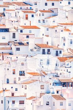 Poster White Houses