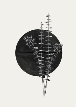 Poster Plant and Black Sun