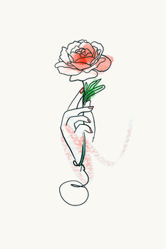 Illustrations