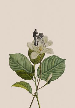 Minimalist collage art
