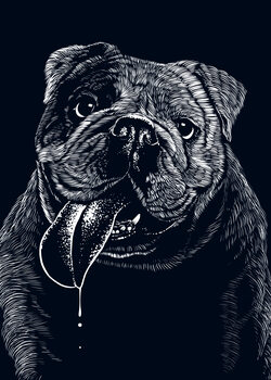 Dogs
