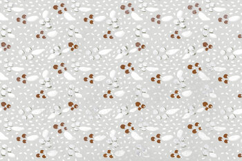 Poster Berries in Winter Square