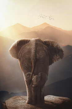 Poster Cute Baby elephant on his mother in Africa